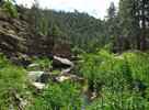 photo thumbnail #4