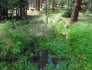 photo thumbnail #5