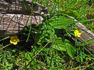 photo thumbnail #6