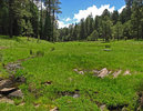 photo thumbnail #7