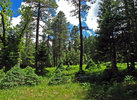 photo thumbnail #8