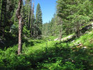 photo thumbnail #11