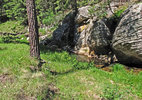photo thumbnail #15