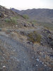 photo thumbnail #1