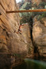 photo thumbnail #10