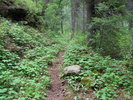 photo thumbnail #1