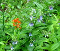 photo thumbnail #3