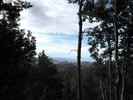 photo thumbnail #14