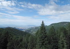 photo thumbnail #15