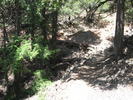 photo thumbnail #1