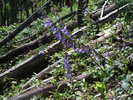 photo thumbnail #2