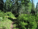 photo thumbnail #4
