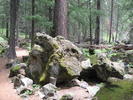 photo thumbnail #3