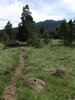 photo thumbnail #8