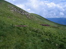 photo thumbnail #15