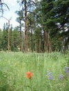 photo thumbnail #1