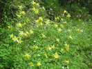 photo thumbnail #15