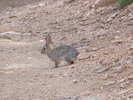 photo thumbnail #11