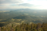 photo thumbnail #2
