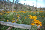 photo thumbnail #7