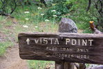 photo thumbnail #14