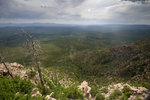 photo thumbnail #7