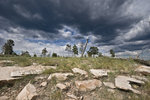 photo thumbnail #8