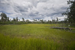 photo thumbnail #10