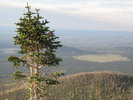 photo thumbnail #10