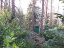 photo thumbnail #11