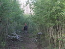 photo thumbnail #13