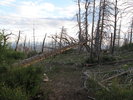 photo thumbnail #14