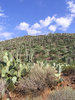 photo thumbnail #7