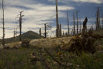 photo thumbnail #7