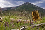 photo thumbnail #8