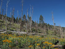 photo thumbnail #9