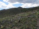 photo thumbnail #4
