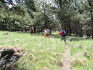 photo thumbnail #9