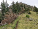 photo thumbnail #13