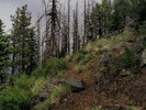 photo thumbnail #14
