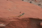 photo thumbnail #13