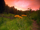 photo thumbnail #5