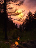photo thumbnail #6