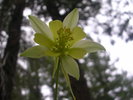 photo thumbnail #11