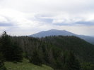 photo thumbnail #13