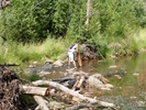 photo thumbnail #4