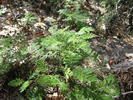 photo thumbnail #14