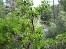 photo thumbnail #15