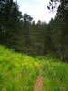 photo thumbnail #3