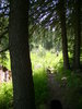 photo thumbnail #6